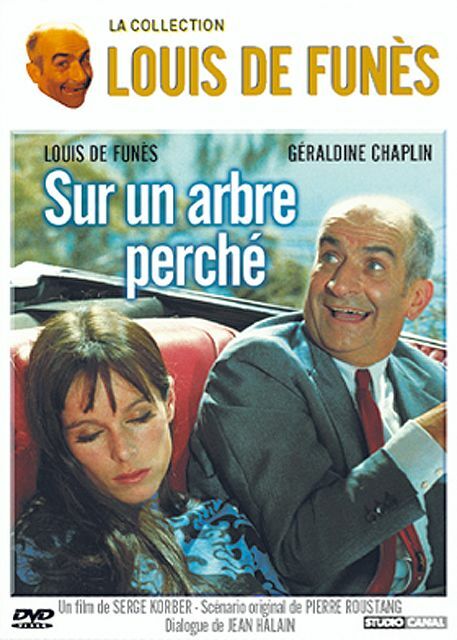 Sur un arbre perché - Serge Korber - DVD