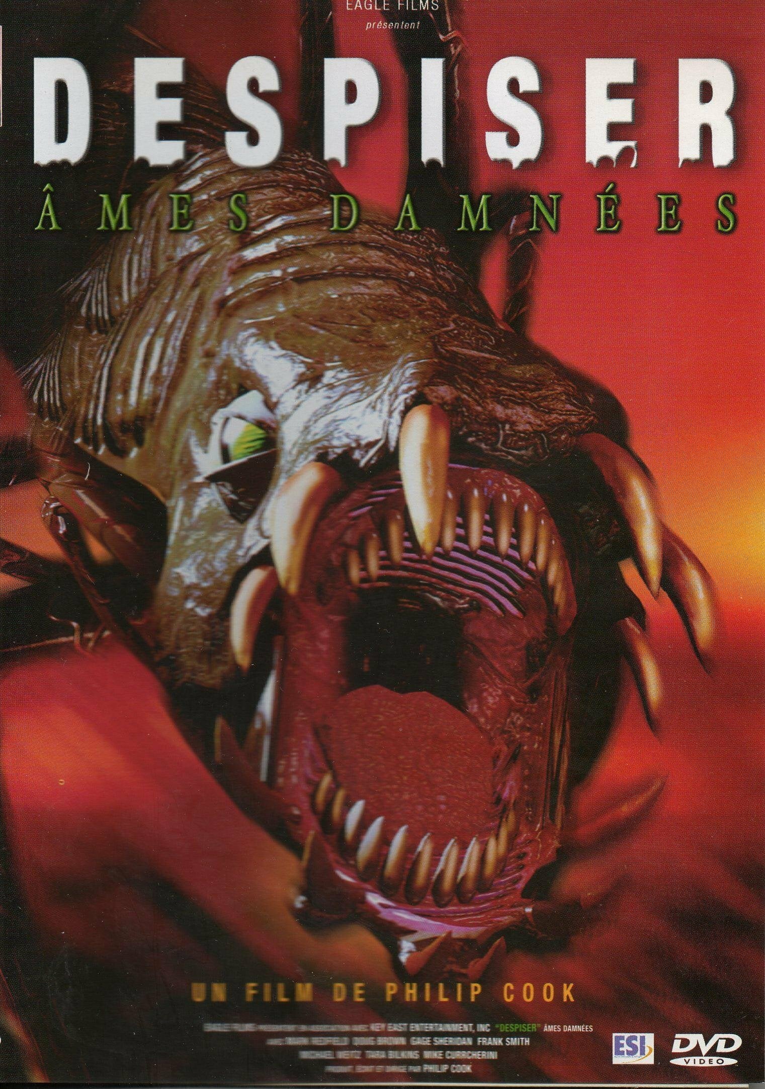 Despiser-Ames damnées - Philip Cook - DVD