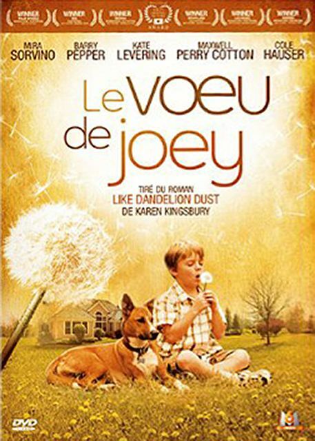 Le voeu de Joey - Jon Gunn - DVD