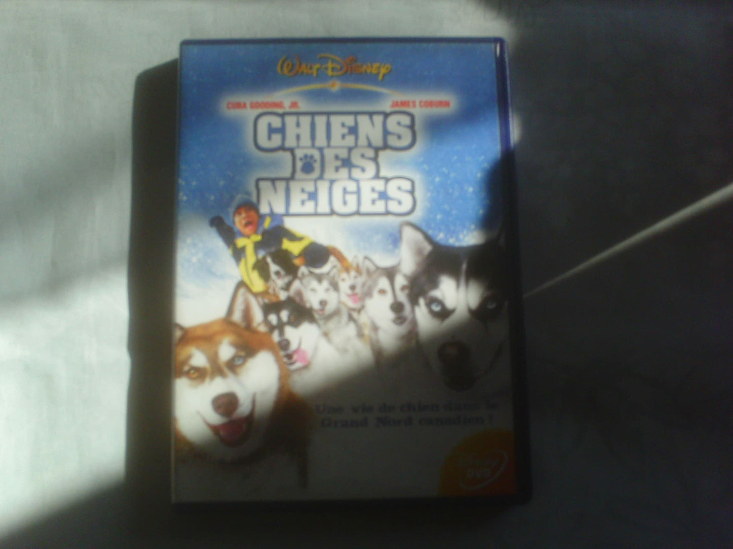 Chiens des neiges - Brian Levant - DVD