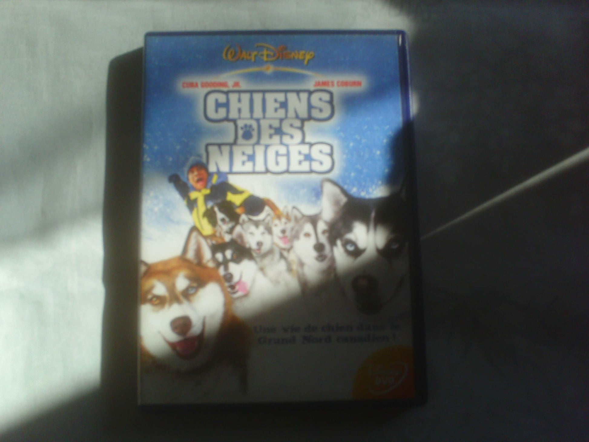 Chiens des neiges - Brian Levant - DVD