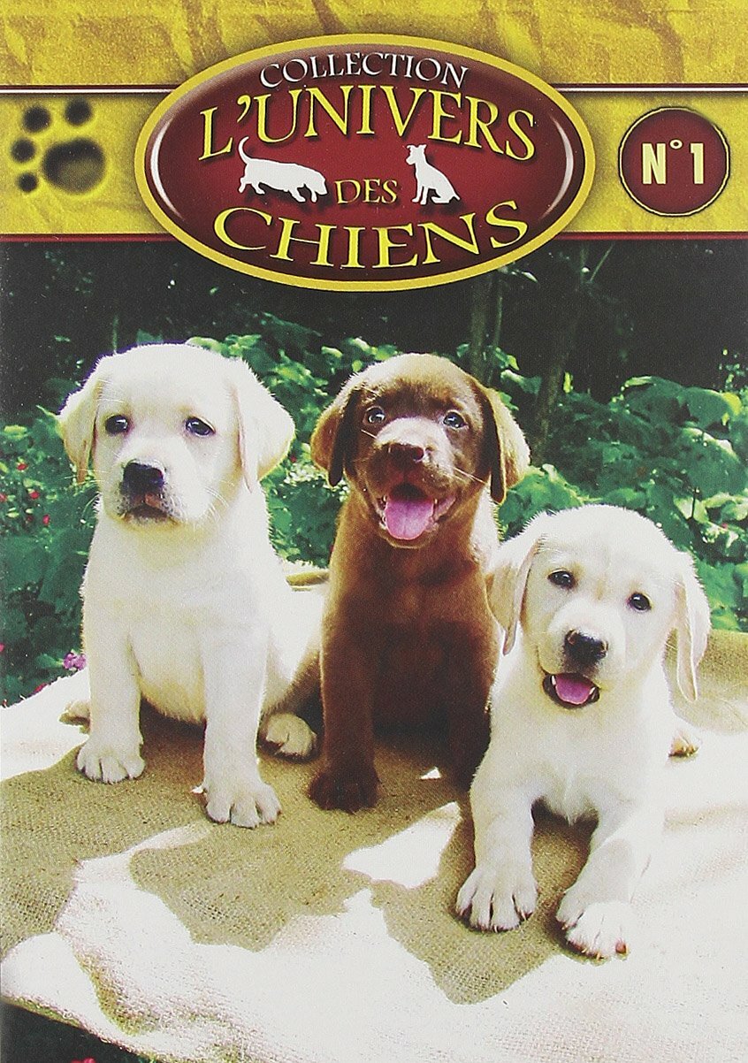 L'Univers des chiens N°1 - Inconnu - DVD
