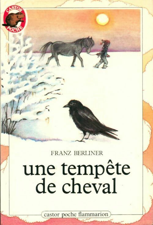 Une tempête de cheval - Franz Berliner - Livre
