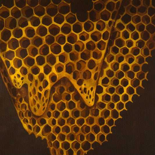 Telefon Tel Aviv - Map Of What Is Effortless - Telefon Tel Aviv - CD