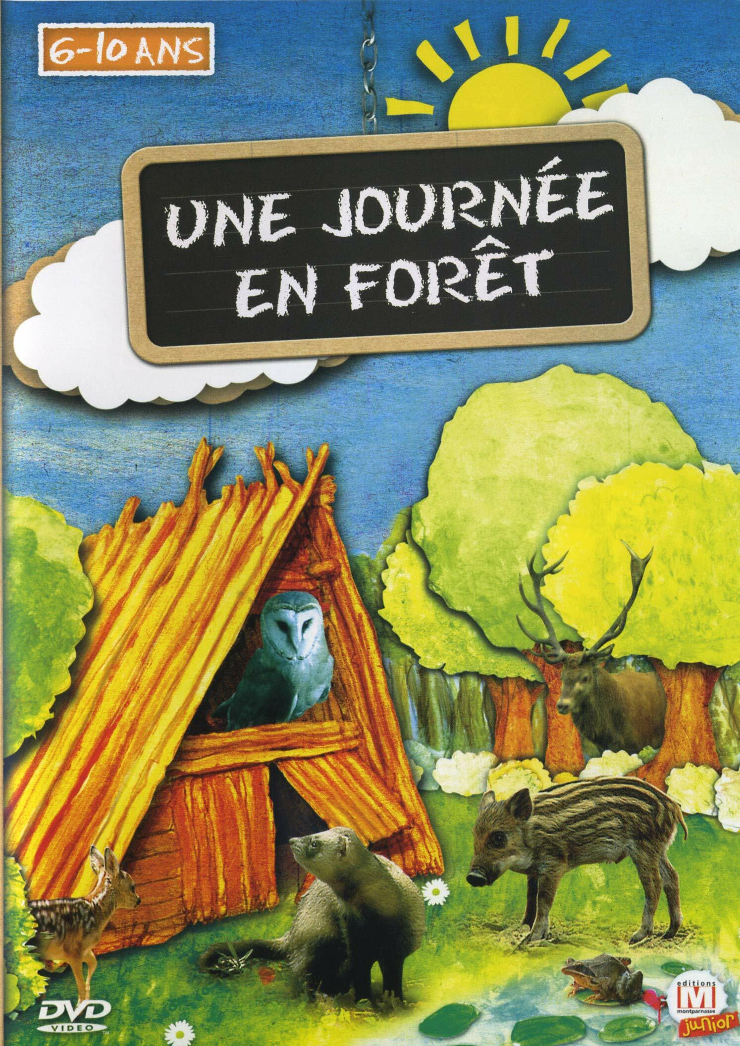 Une journée en forêt - Inconnu - DVD