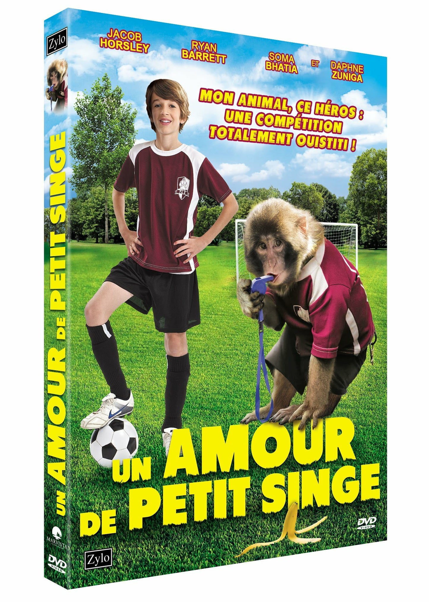 Un amour de petit singe - Justin G. Dyck - DVD