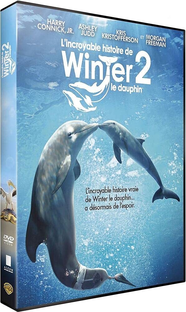 l'incroyable Histoire de Winter Le Dauphin 2 (DVD + Copie Digitale) - Charles Martin Smith - DVD