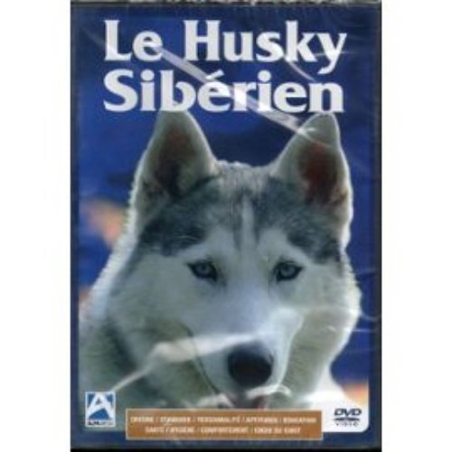 Le Husky sibérien (VHS) - Inconnu - DVD