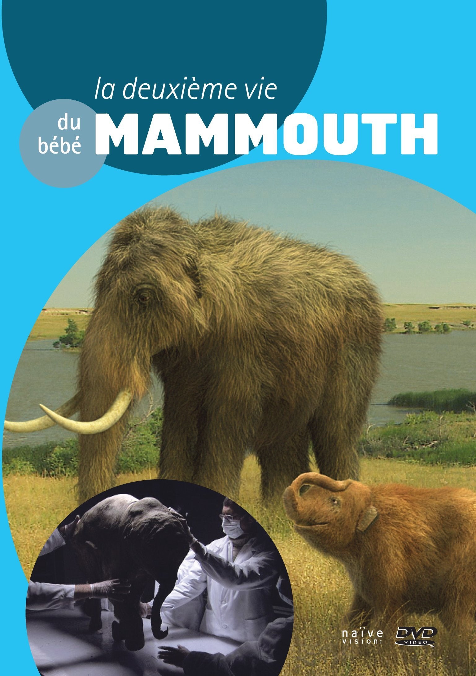 La Deuxième Vie du Bébé Mammouth - Inconnu - DVD
