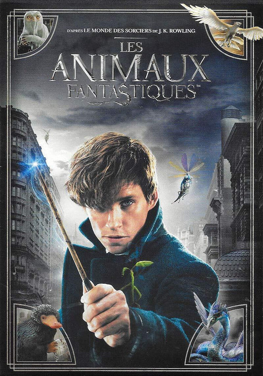 LES ANIMAUX FANTASTIQUES - Inconnu - DVD