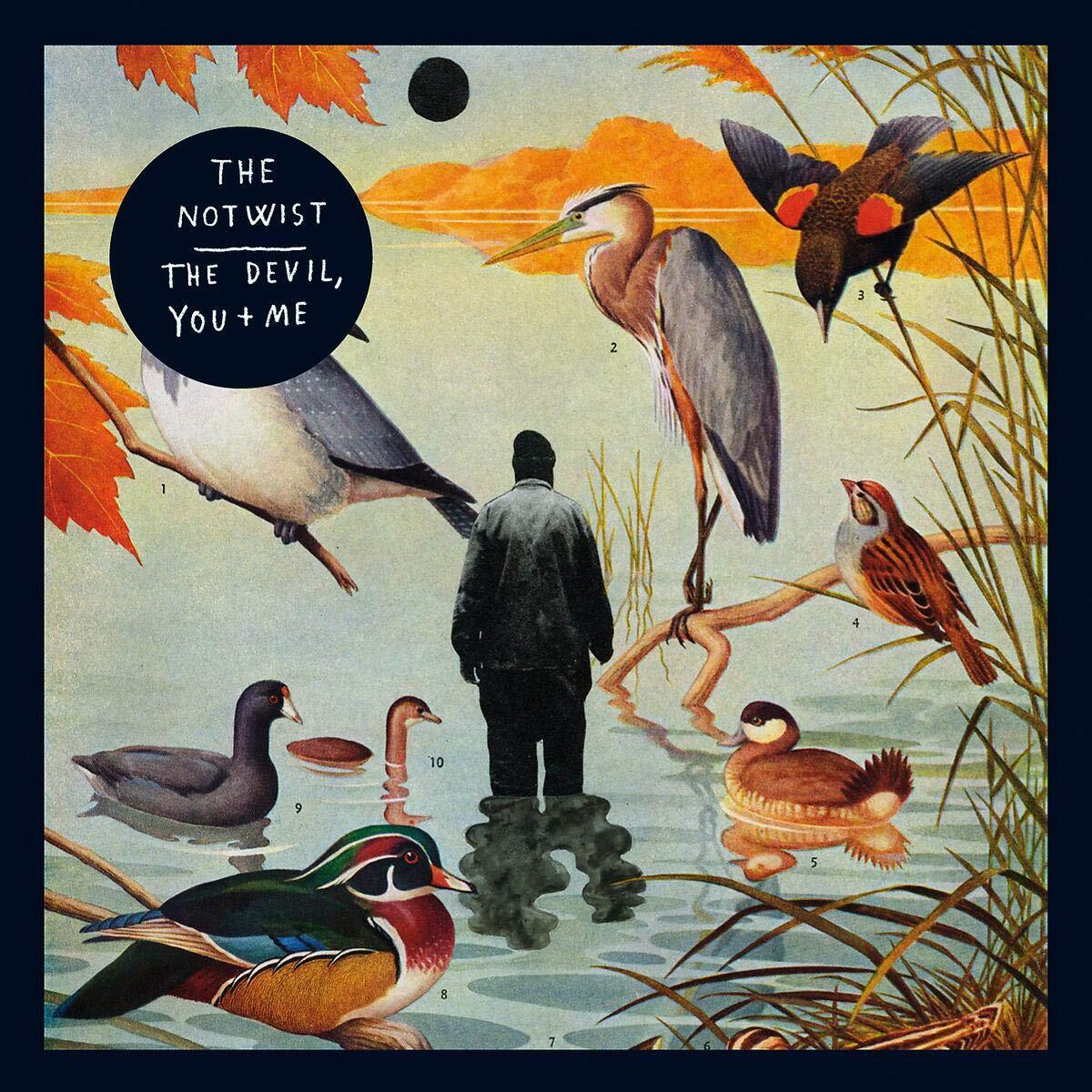The Notwist - The devil, you + me - The Notwist - CD