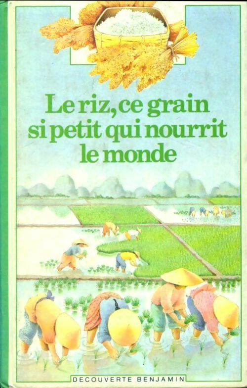 Le riz. Ce grain si petit qui nourrit le monde - Raphaëlle Brice - Livre