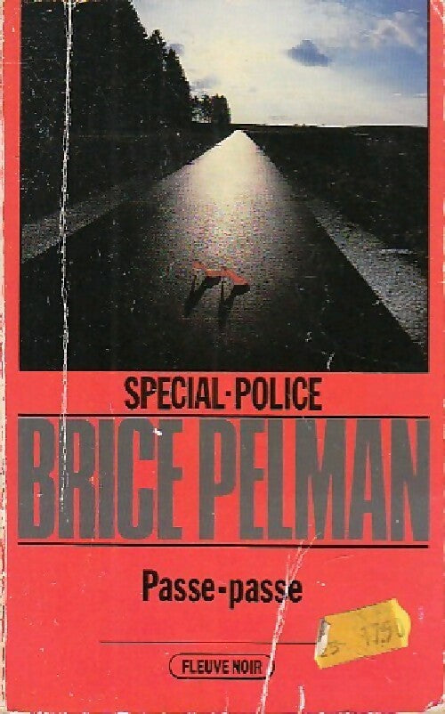Passe-passe - Brice Pelman - Livre