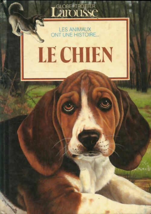 Le chien - Collectif - Livre