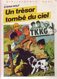 Un trésor tombé du ciel - Stefan Wolf - Livre