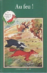 Au feu ! - Mary Risk - Livre