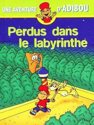 Perdus dans le labyrinthe - Inconnu - Livre