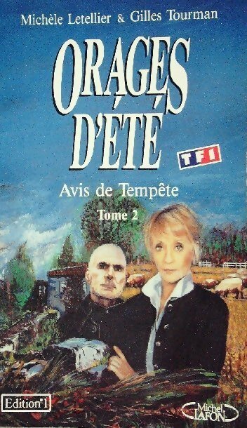 Orages d'été Tome II : Avis de tempête - Gilles Tourman - Livre