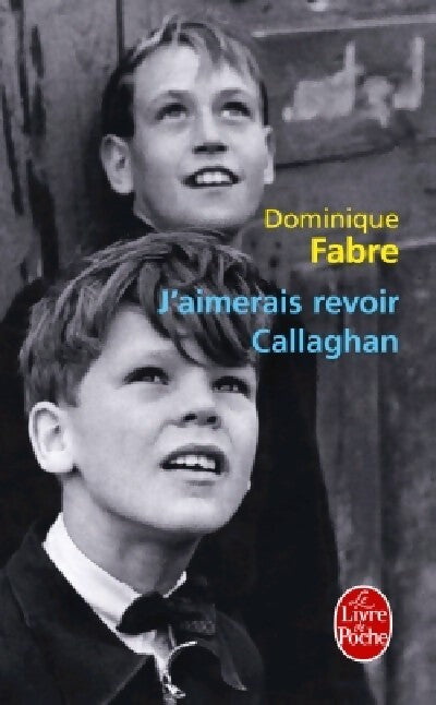 J'aimerais revoir Callaghan - Dominique Fabre - Livre
