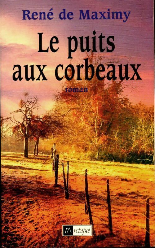 Le puits aux corbeaux - René De Maximy - Livre