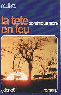 La tête en feu - Dominique Fabre - Livre