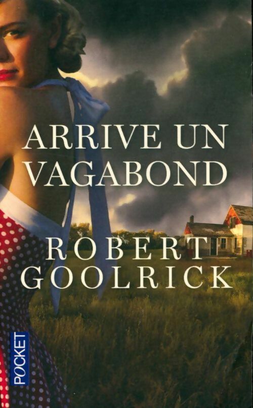 Arrive un vagabond - Robert Goolrick - Livre