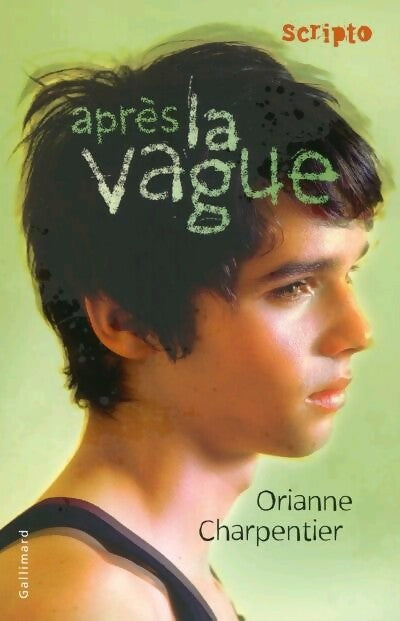 Après la vague - Orianne Charpentier - Livre