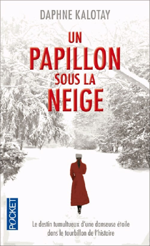 Un papillon sous la neige - Daphine Kalotay - Livre