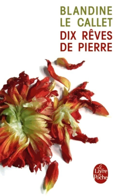 Dix rêves de pierre - Blandine Le Callet - Livre