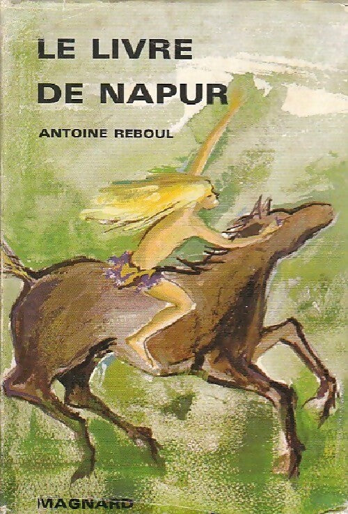 Le livre de Napur - Pierre Reboul - Livre
