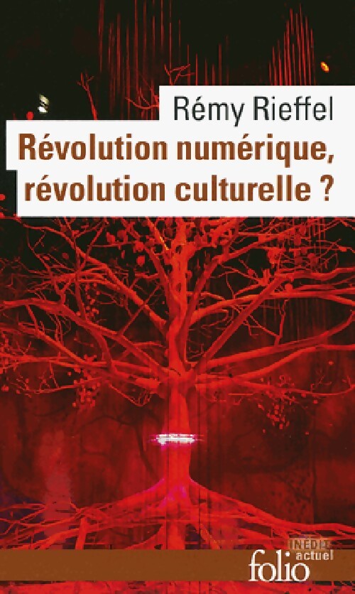 Révolution numérique, révolution culturelle ? - Rémy Rieffel - Livre