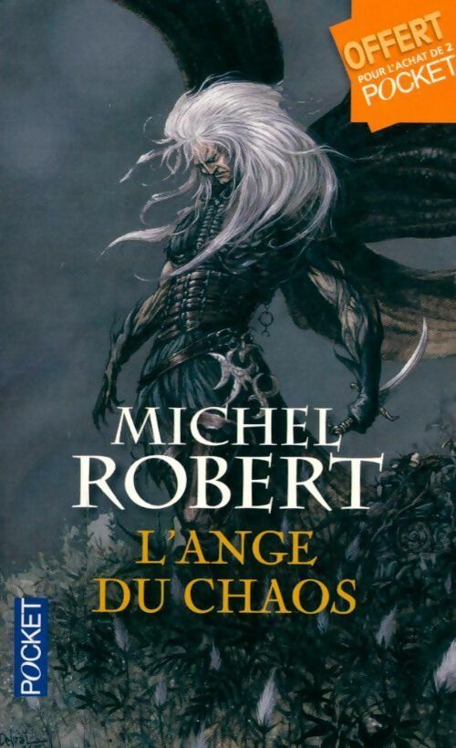 L'agent des ombres Tome I : L'ange du chaos - Michel Robert - Livre