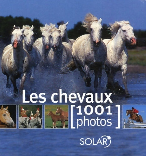 Les chevaux - Collectif - Livre