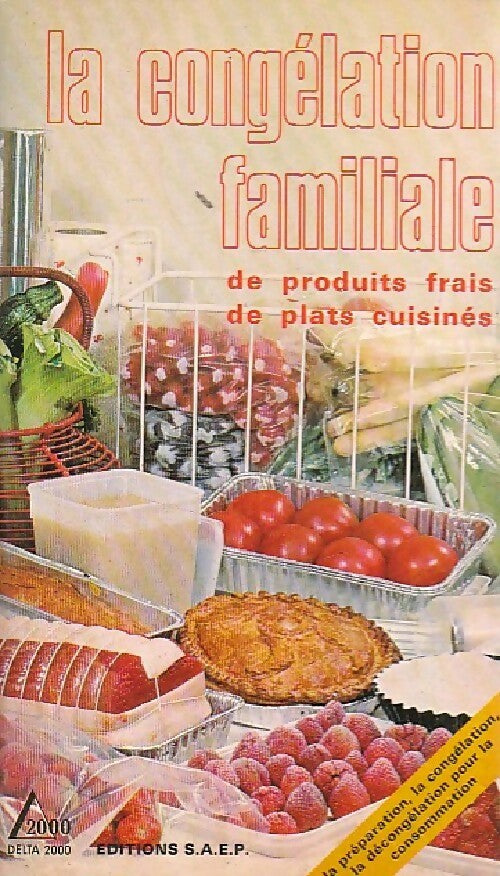 La congélation familiale - Anne Noel - Livre