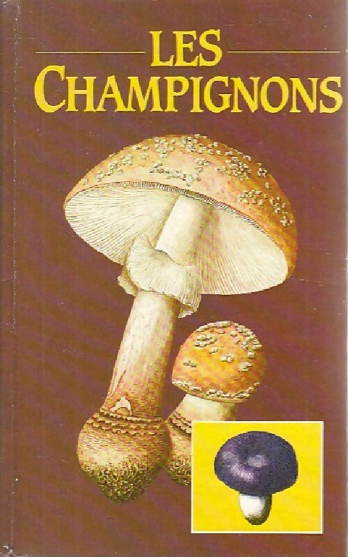 Les champignons - Aurel Dermek - Livre