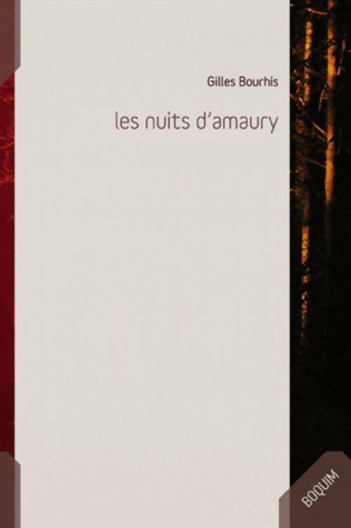 Les nuits d'Amaury - Gilles Bourhis - Livre