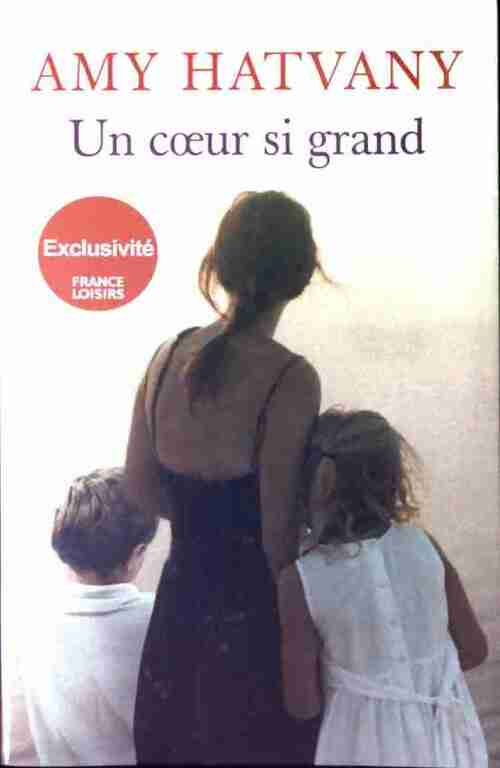 Un coeur si grand - Amy Hatvany - Livre