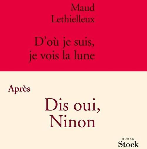 D'où je suis, je vois la lune - Maud Lethielleux - Livre