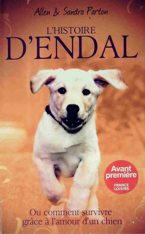 L'Histoire d'Endal - Allen Parton - Livre