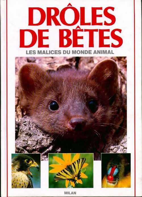 Drôles de bêtes - Patrice Amen - Livre