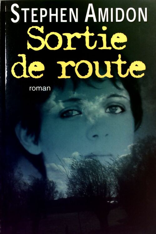 Sortie de route - Stephen Amidon - Livre
