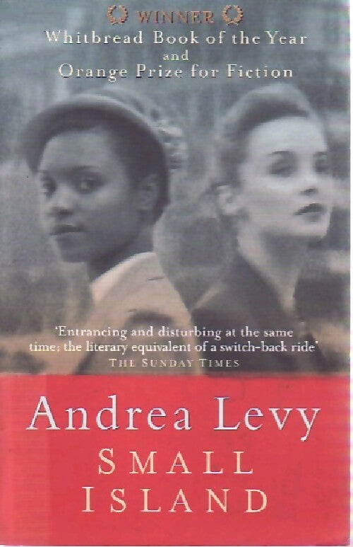 Small island - Andrea Lévy - Livre