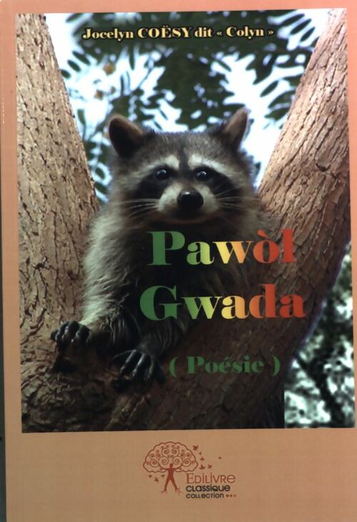 Pawol Gwada - Jocelyn Coësy - Livre