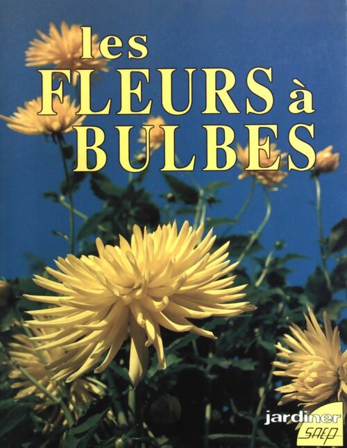Les fleurs à bulbes - Pierre Nessmann - Livre