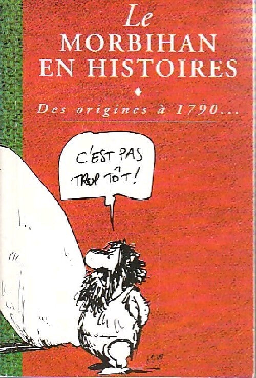 Le Morbihan en histoires - Collectif - Livre