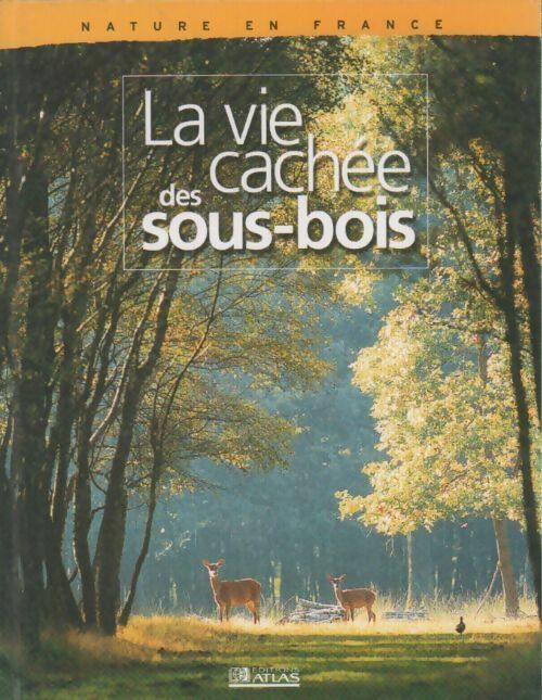 La vie cachée des sous-bois - Collectif - Livre
