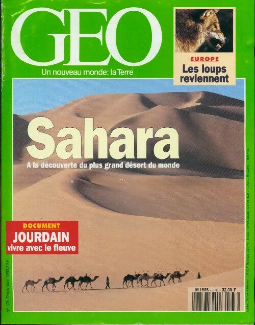 Géo n°178 : Sahara - Collectif - Livre