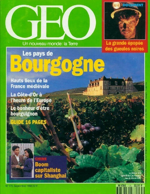 Géo n°175 : Les pays de Bourgogne - Collectif - Livre