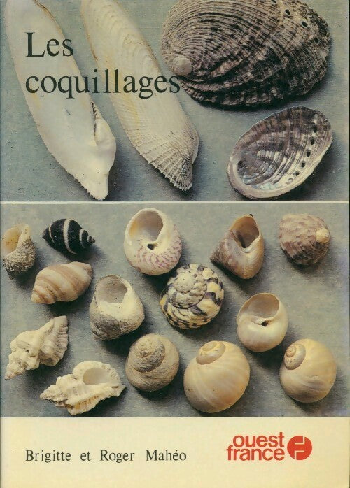 Les coquillages - Roger Mahéo - Livre