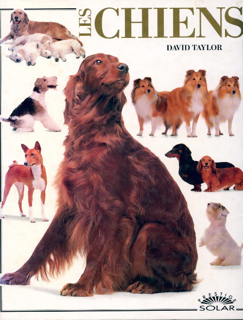 Les chiens - David Taylor - Livre